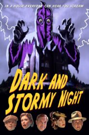 Dark and Stormy Night 2009 one on netflix