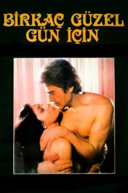 Birkaç Güzel Gün İçin 1984 one on netflix