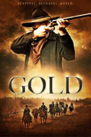 Gold 2013 one on netflix