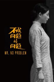 Mr. No Problem 2017 one on netflix