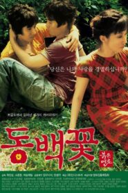 Camellia Project 2005 one on netflix