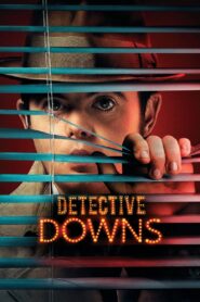 Detective Downs 2013 one on netflix