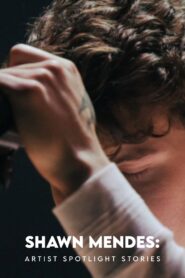 Shawn Mendes: Artist Spotlight Stories 2018 one on netflix
