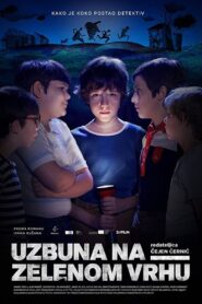 The Mystery of Green Hill 2017 one on netflix