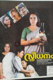Sthreedhanam 1993 one on netflix