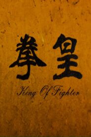 The King of Fighters 2011 one on netflix