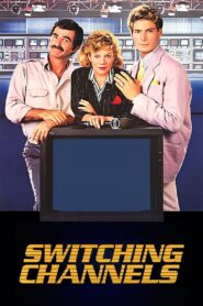 Switching Channels 1988 one on netflix