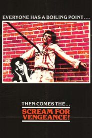 Vengeance 1980 one on netflix