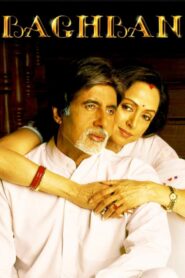 Baghban 2003 one on netflix