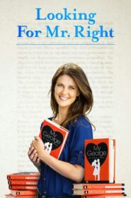 Looking for Mr. Right 2014 one on netflix