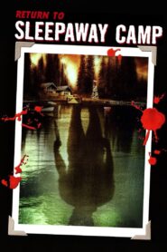Return to Sleepaway Camp 2008 one on netflix