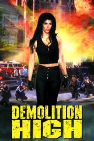Demolition High 1996 one on netflix