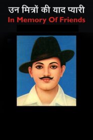 In Memory of Friends 1990 one on netflix