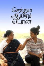 Sethum Aayiram Pon 2019 one on netflix