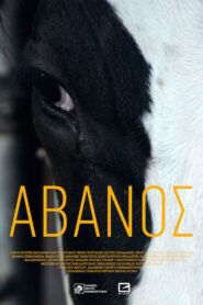Avanos 2018 one on netflix