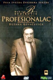 The Professional 1990 one on netflix