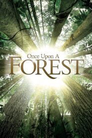Once Upon a Forest 2013 one on netflix