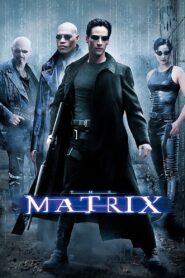The Matrix 1999 one on netflix
