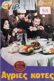 Wild Chickens 1981 one on netflix