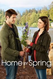 Home by Spring 2018 one on netflix