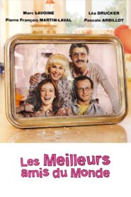 Best Friends Forever 2010 one on netflix
