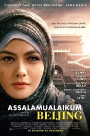 Assalamualaikum Beijing 2014 one on netflix
