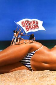 Spring Break 1983 one on netflix