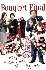 Final Arrangements 2008 one on netflix