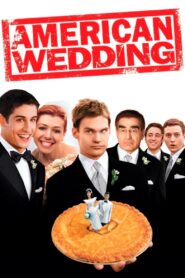 American Wedding 2003 one on netflix