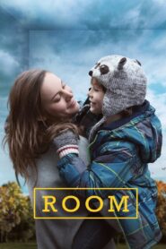 Room 2015 one on netflix