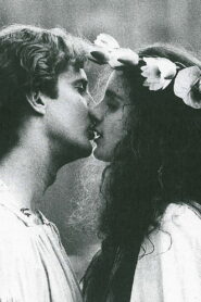 Kronbruden 1990 one on netflix
