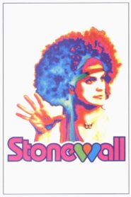 Stonewall 1995 one on netflix