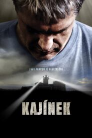 Enemies of the State 2010 one on netflix