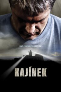 Enemies of the State 2010 one on netflix