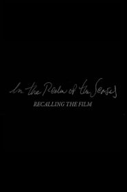 In the Realm of the Senses: Recalling the Film 2003 one on netflix