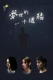 1000 Walls in Dream 2017 one on netflix