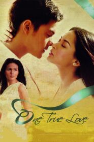 One True Love 2008 one on netflix