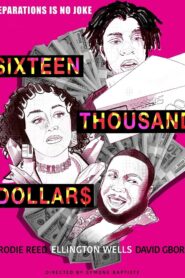 Sixteen Thousand Dollars 2020 one on netflix