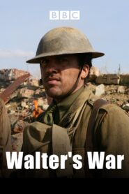 Walter’s War 2008 one on netflix