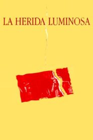 La herida luminosa 1997 one on netflix