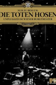 Die Toten Hosen – Nur zu Besuch 2006 one on netflix