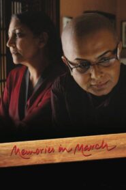 Memories in March 2011 one on netflix