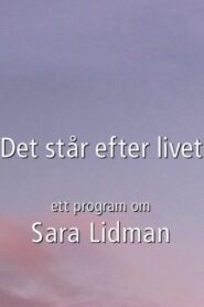 Det står efter livet 2000 one on netflix