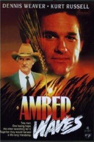 Amber Waves 1980 one on netflix