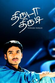 Thiruda Thirudi 2003 one on netflix