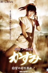 Lady Ninja Kasumi 7: Damned Village 2009 one on netflix