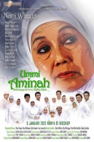 Ummi Aminah 2012 one on netflix