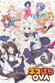NEKOPARA OVA 2017 one on netflix