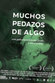 Many Pieces of Something 2015 one on netflix