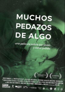 Many Pieces of Something 2015 one on netflix